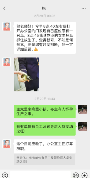 详细阅读:办公室飞来一只鸟有何征兆? 办公室飞来一只鸟有何征兆?